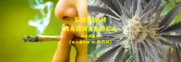 спиды Гусев