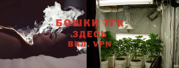 дмт Гусь-Хрустальный
