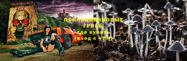дмт Гусь-Хрустальный