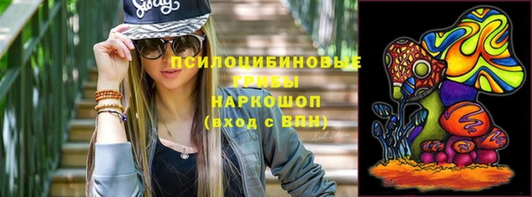 дмт Гусь-Хрустальный