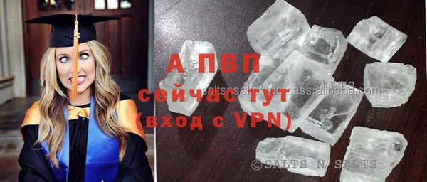 спиды Гусев