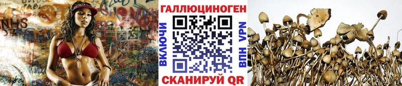 купить наркотики цена  Добрянка  Галлюциногенные грибы мухоморы 