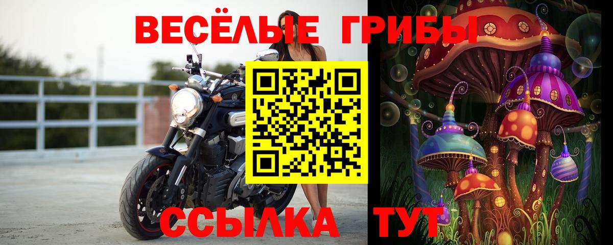 Псилоцибиновые грибы Psilocybine cubensis  Галлюциногенные грибы Magic Shrooms  Добрянка 