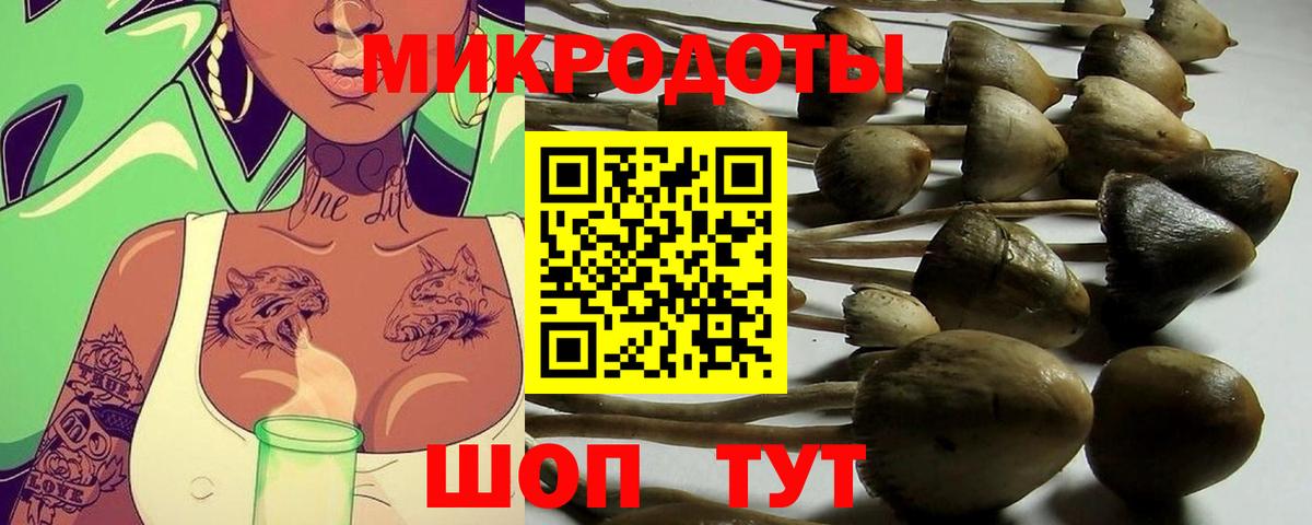 Добрянка  Галлюциногенные грибы мухоморы  Вход с VPN  Галлюциногенные грибы Cubensis 
